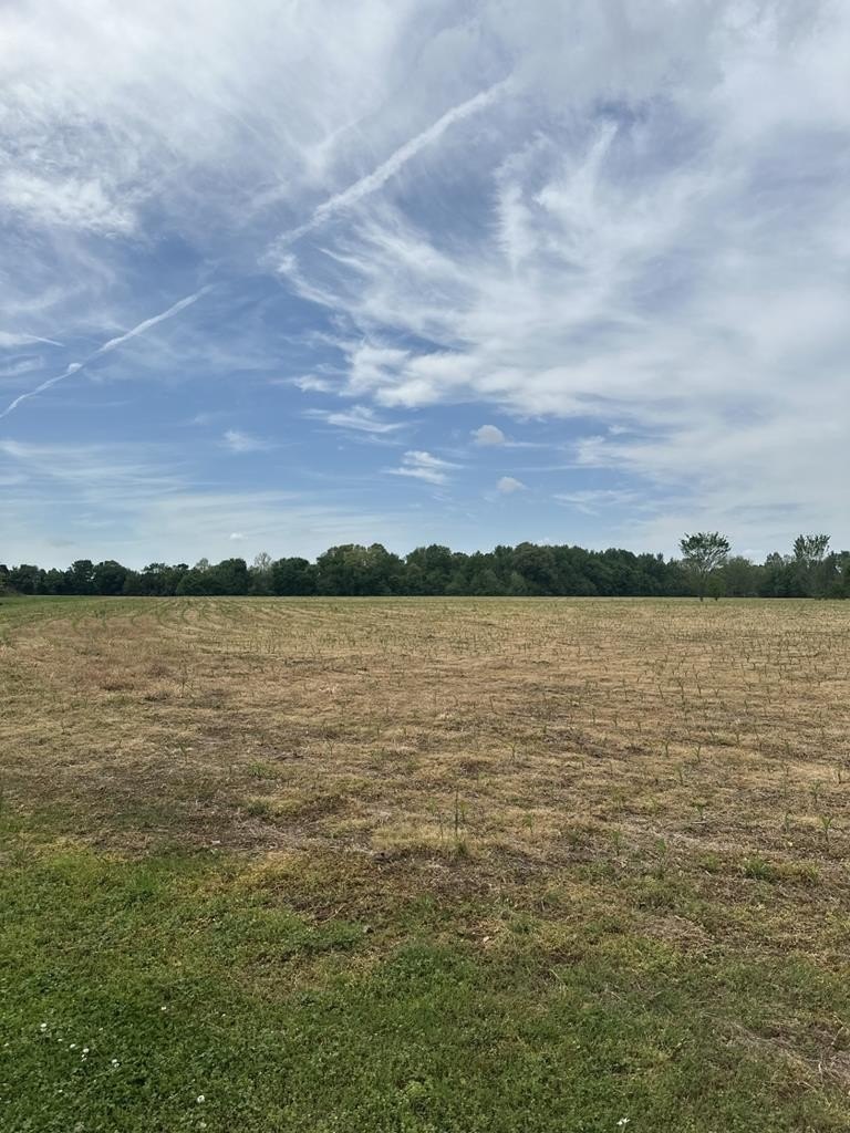 Farmland Near McKenzie City Limits