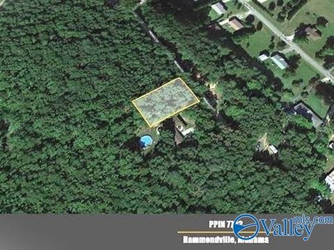 Wooded Building Lot Available