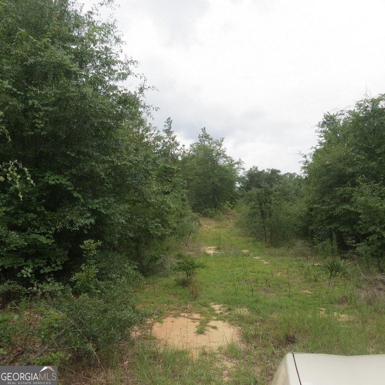 Picture 2