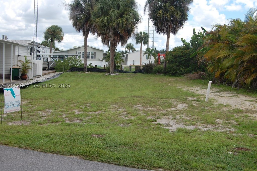 Picture 15