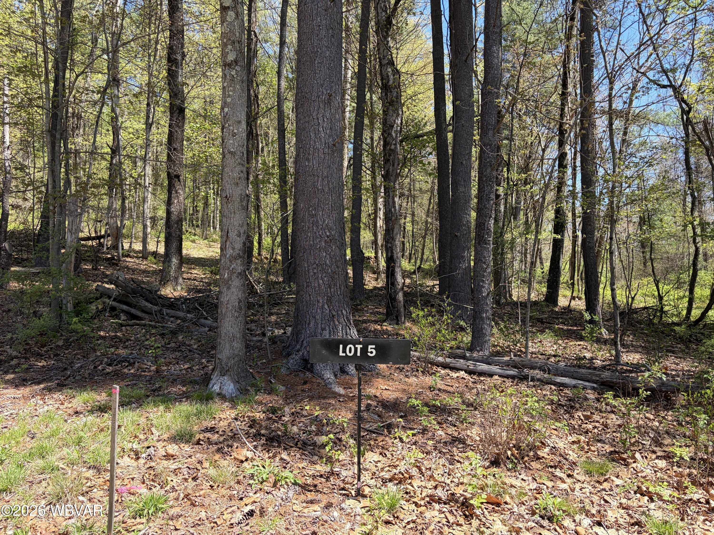 6.99 Acre Wooded Residential Lot