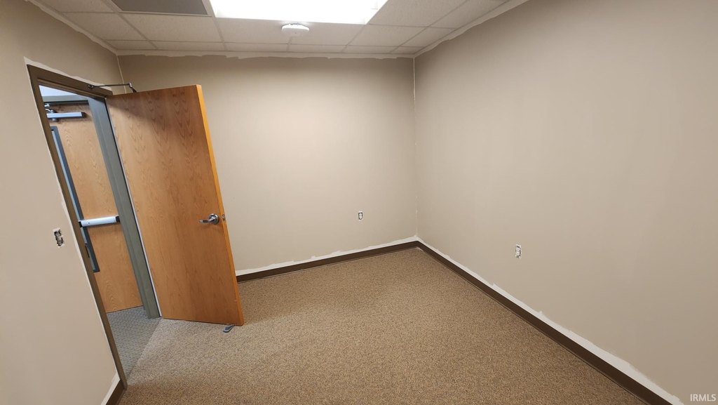 Picture 5