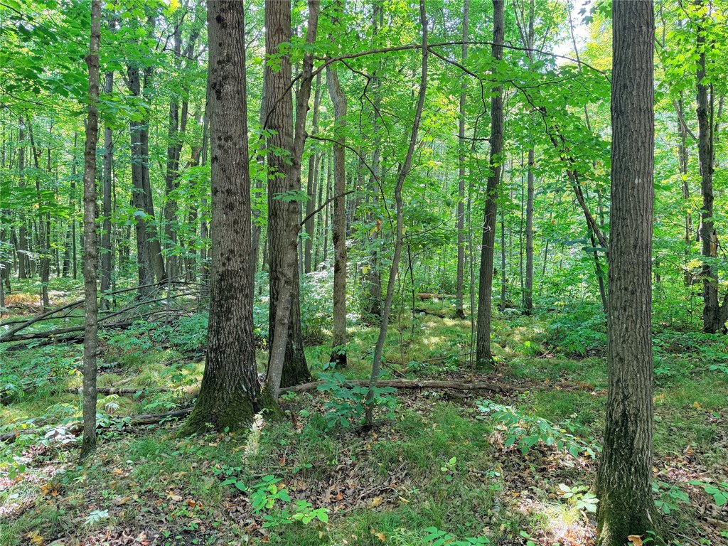 Picture 18
