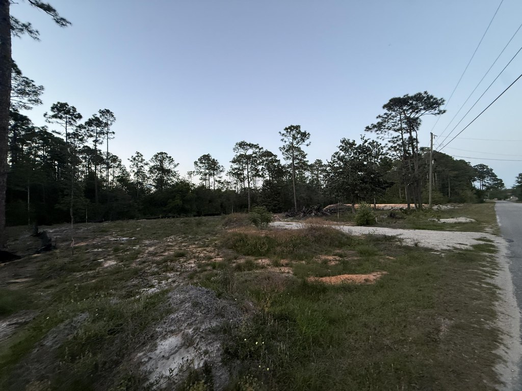 Picture 6