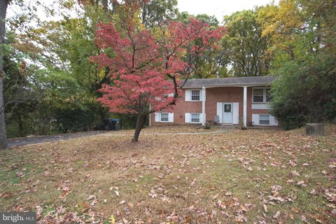 One Acre Lot in Vienna