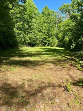 Land in Robbinsville, NC