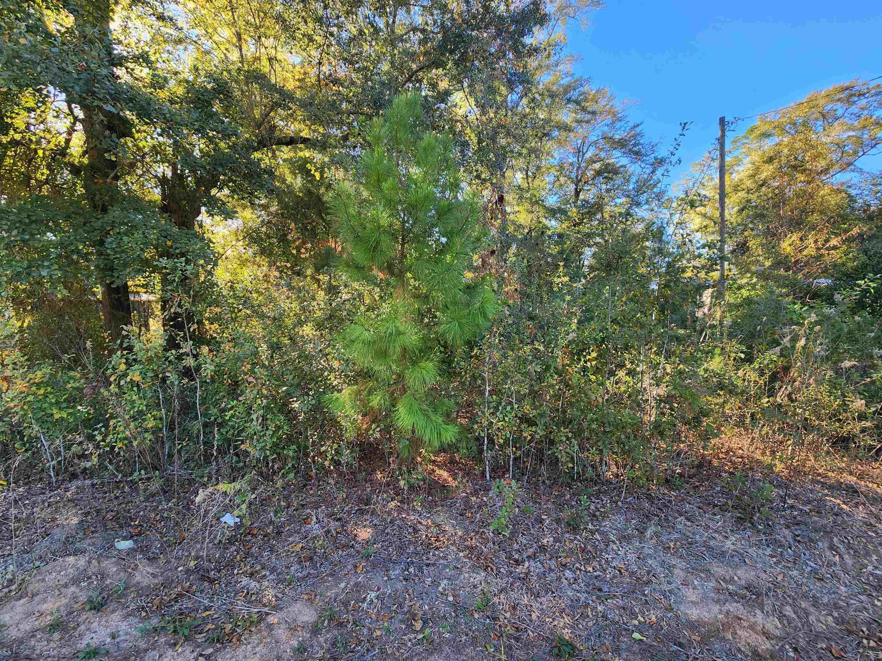 Land in Orange Subdivision