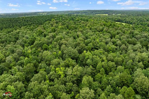 35 Acres of Texas Land