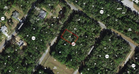 Land, CITRUS SPRINGS, FL