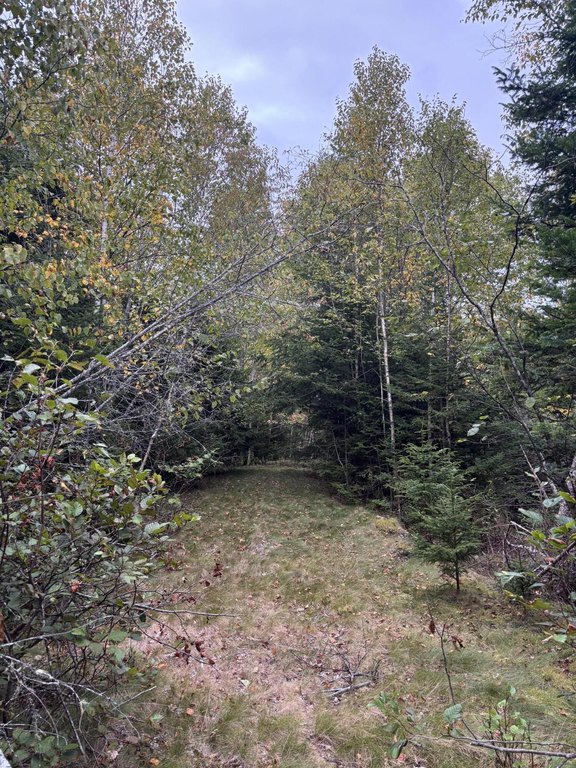 Picture 15