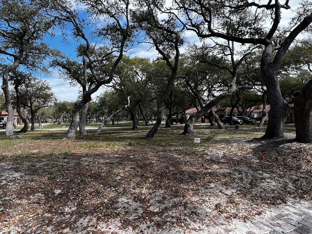 Residential Lot in Gated Community