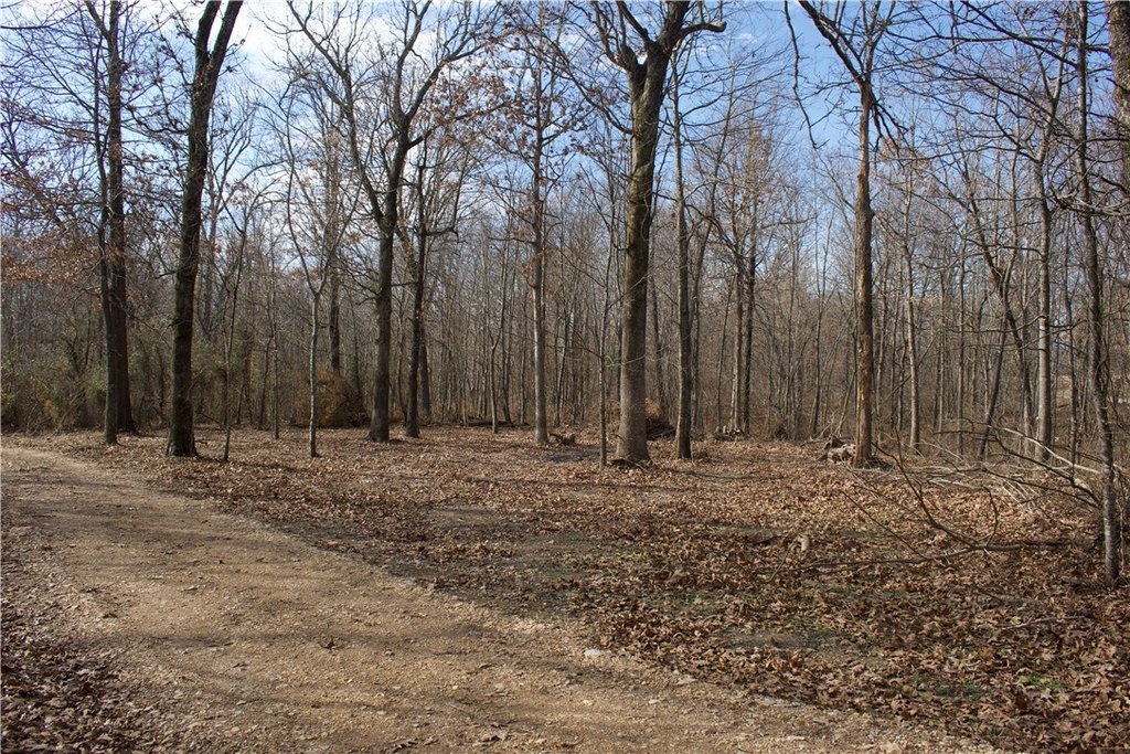 Picture 8