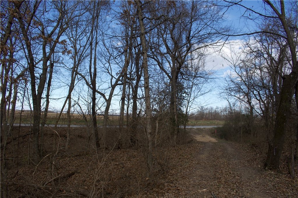 Picture 13