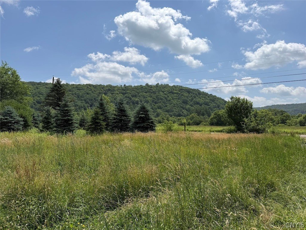 Picture 19