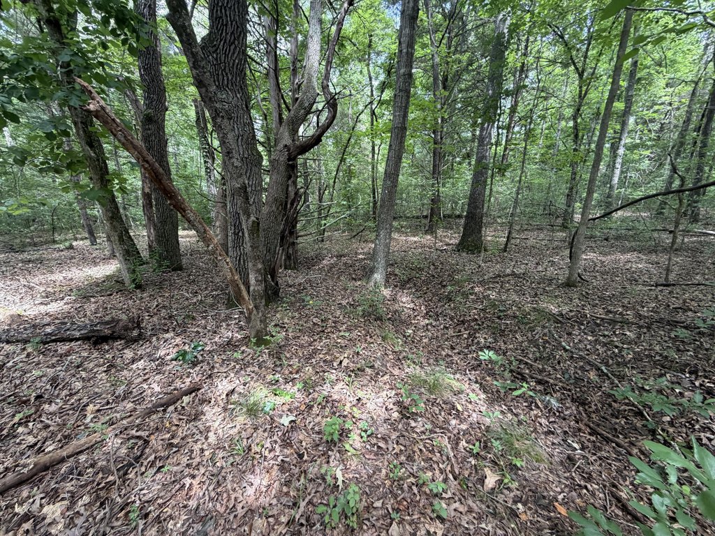 Picture 4