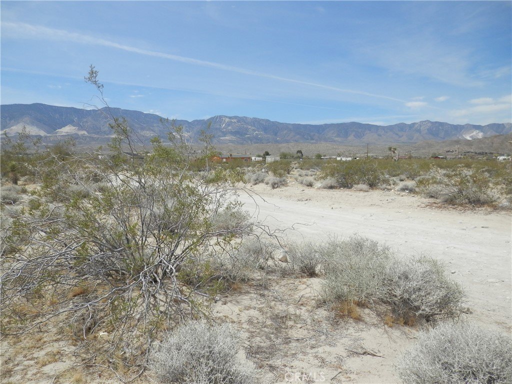 Picture 13