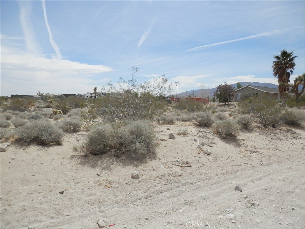 Picture 8