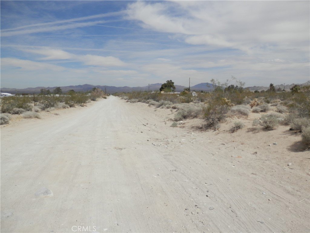 Picture 11