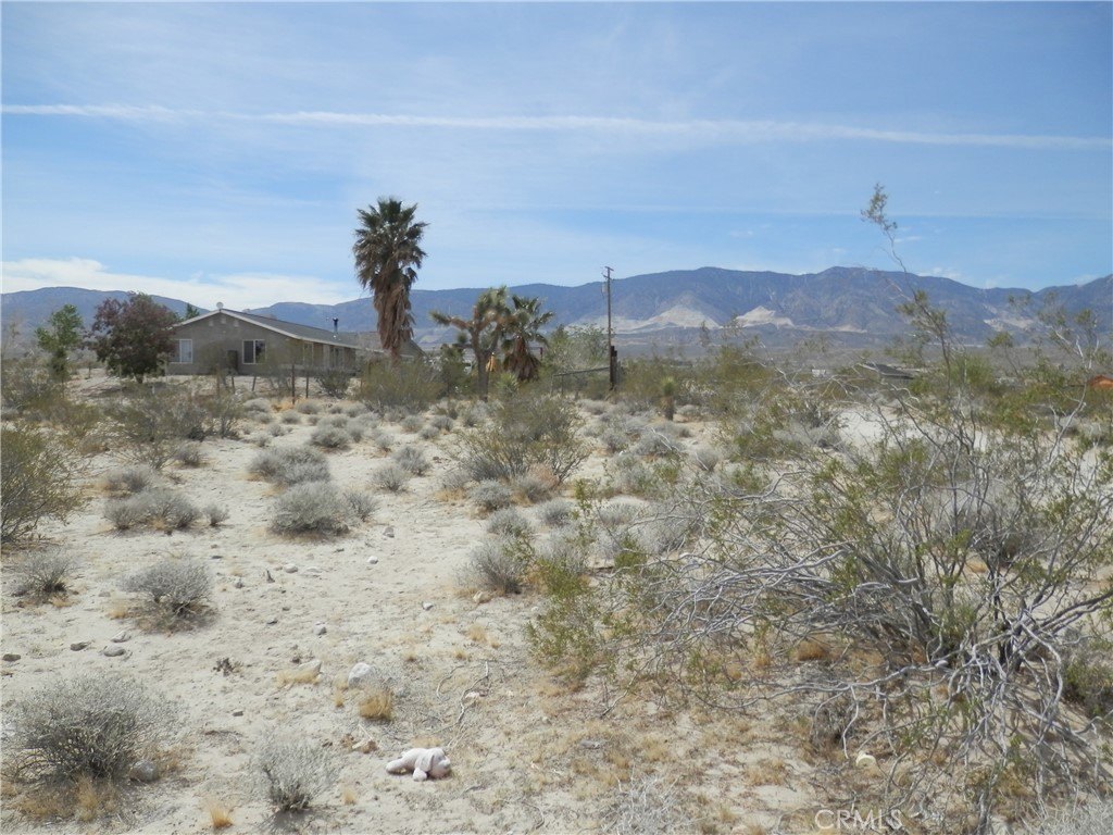 Picture 12