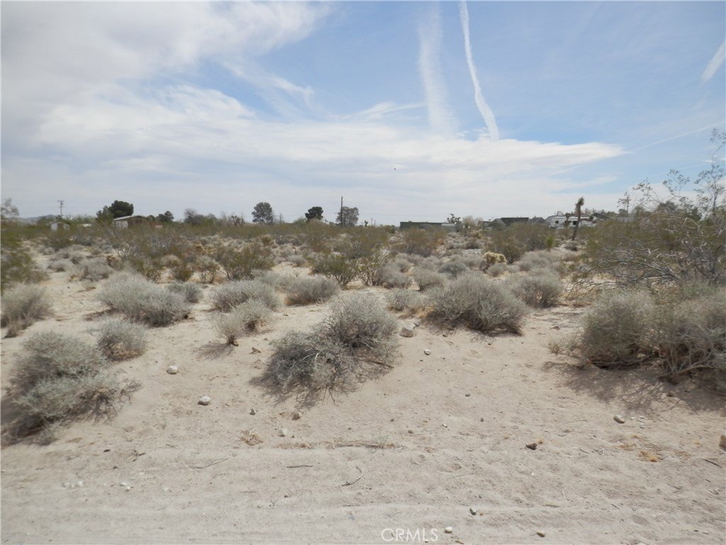 Picture 9