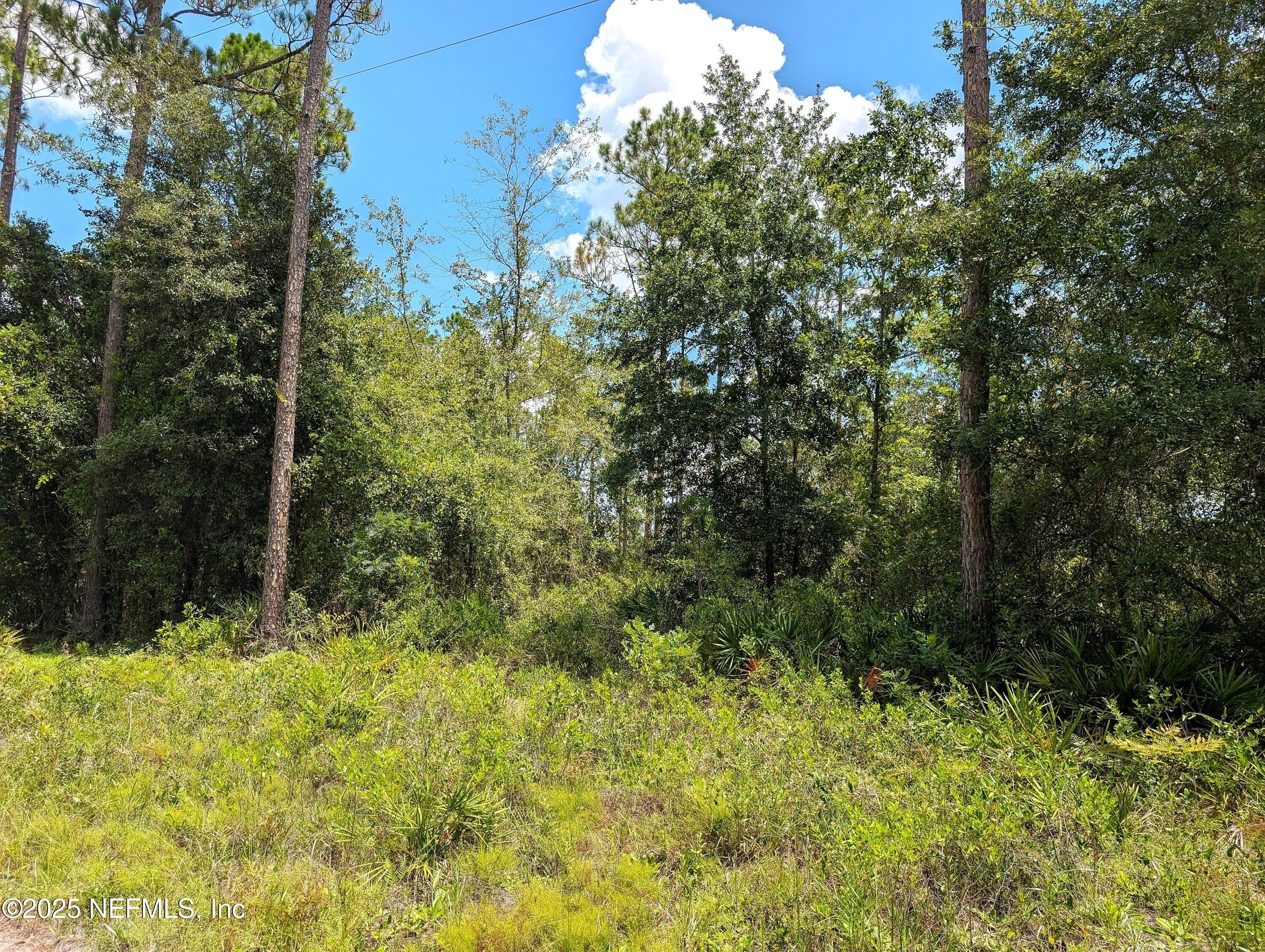 Scenic Land Parcel in Hampton