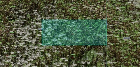 Vacant Land in Polk City