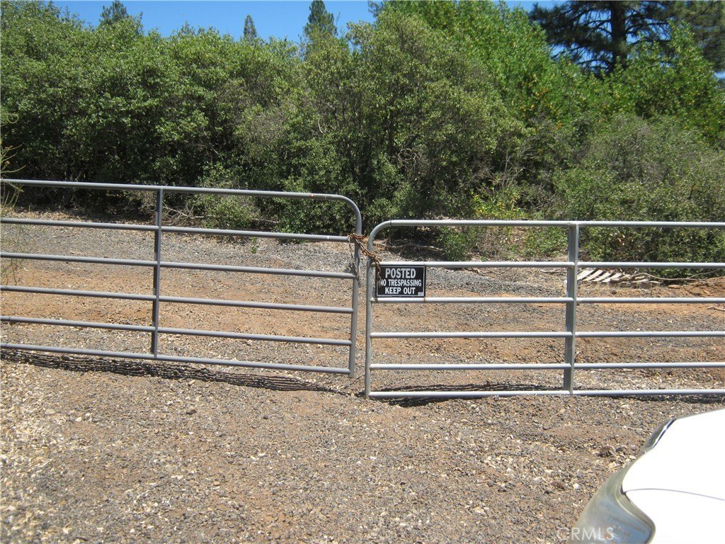 Picture 13