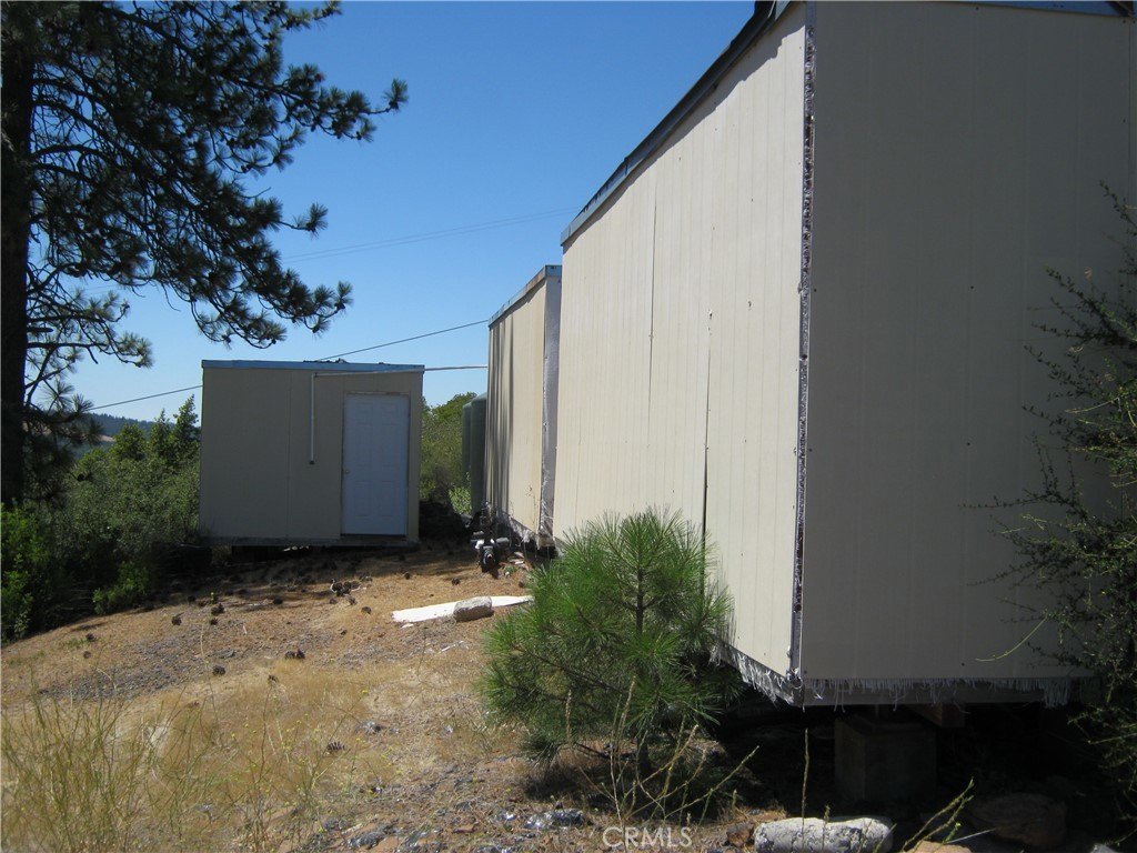 Picture 11