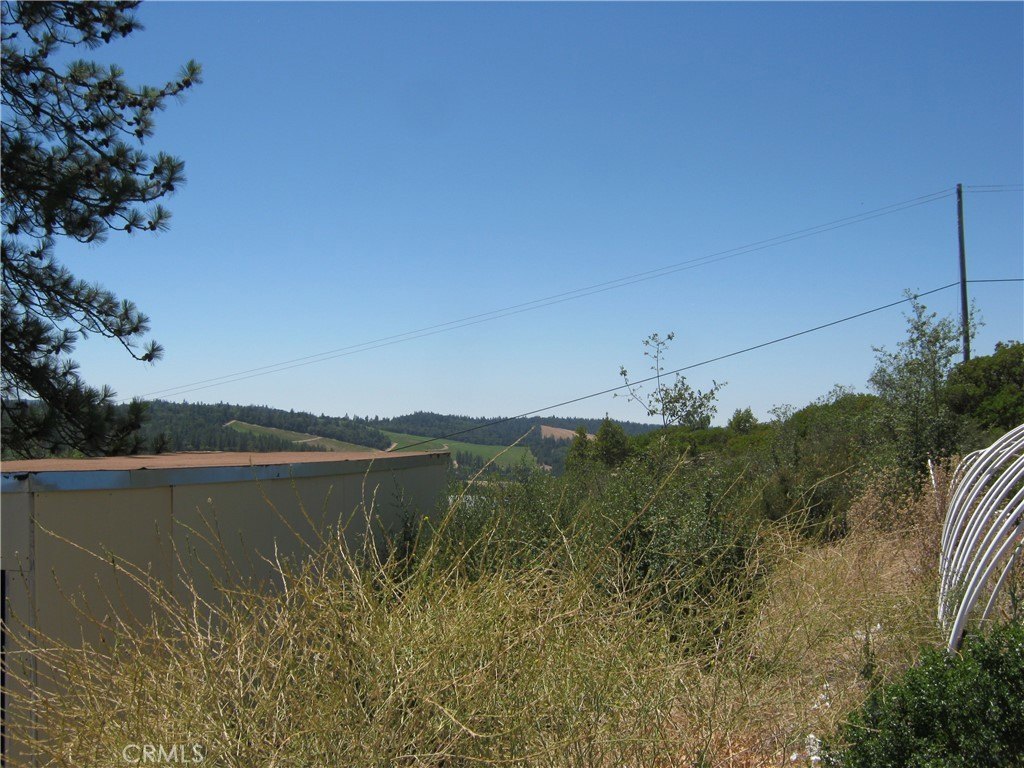 Picture 10