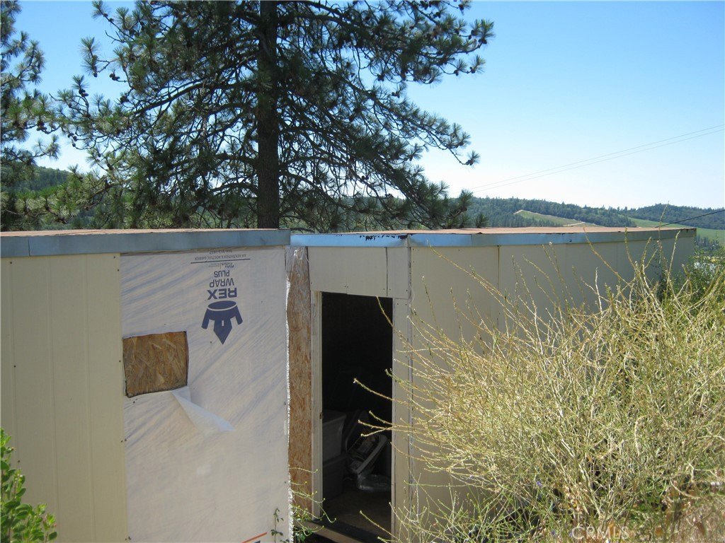 Picture 9