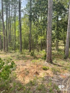 Timbercreek Subdivision Residential Lot