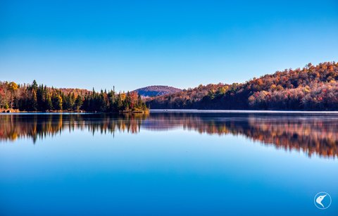 Adirondack Timberland Estate with Lake