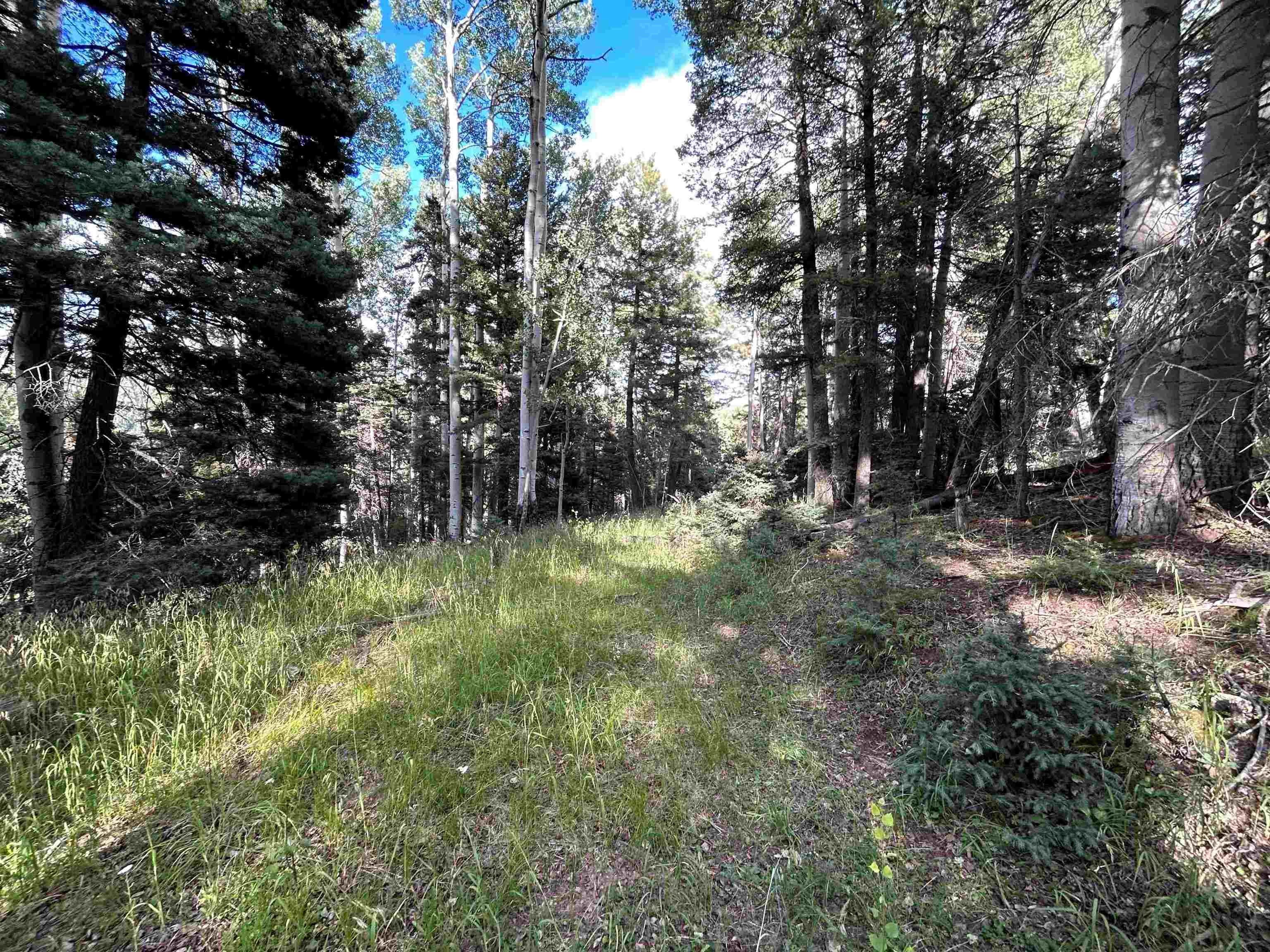 Land Near Southwest Flyer