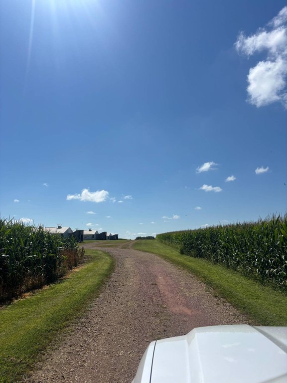 Picture 20