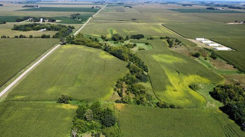 Farmland with Pattern-Tiled Cropland