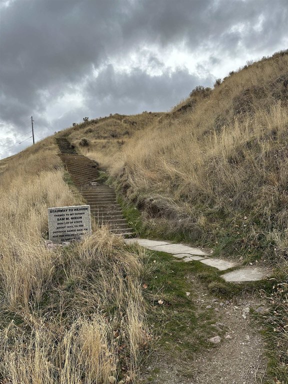 Picture 6