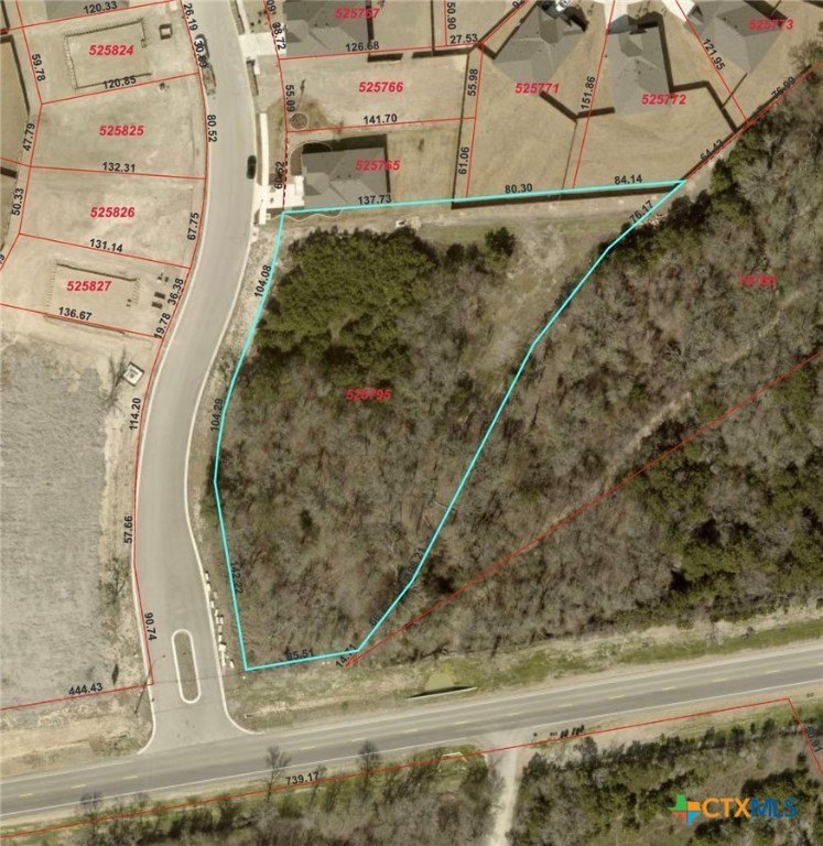 Commercial Land FM 2410