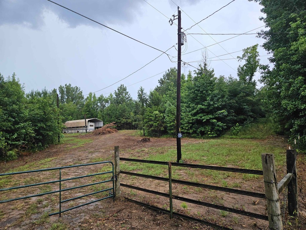 Picture 19