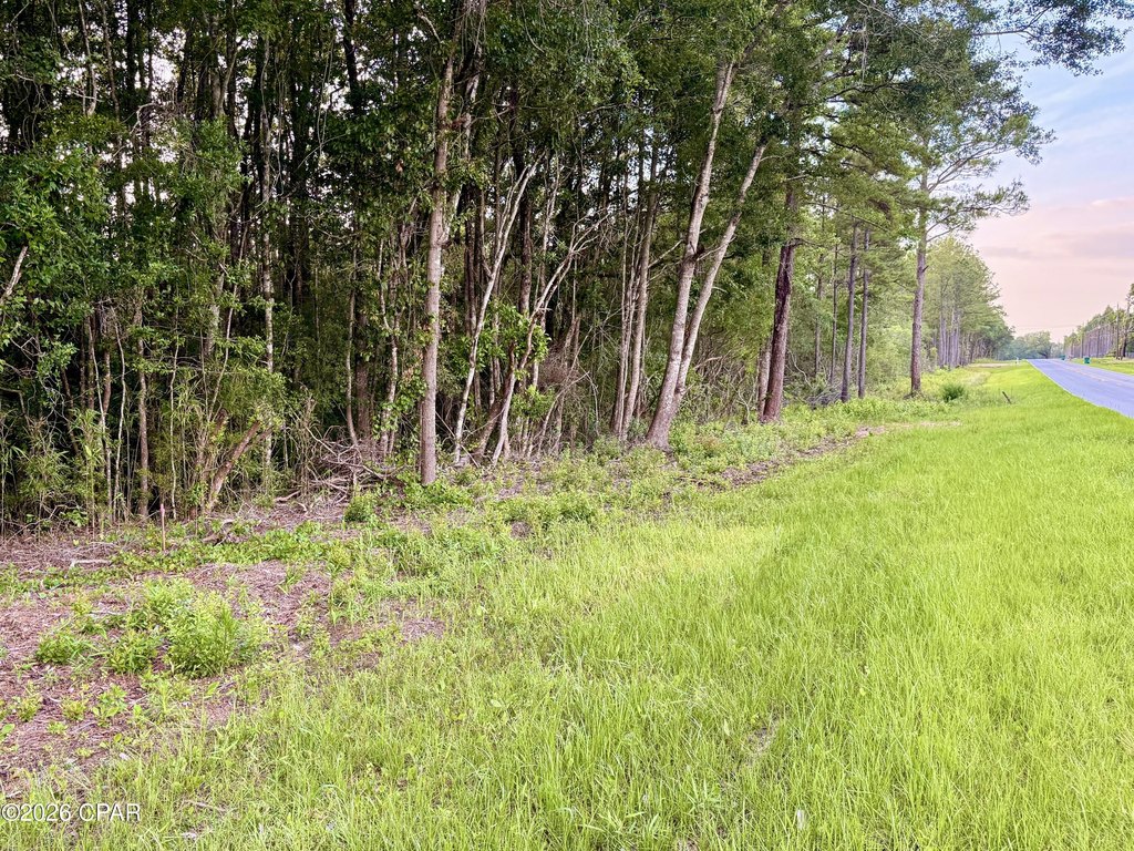 Picture 2