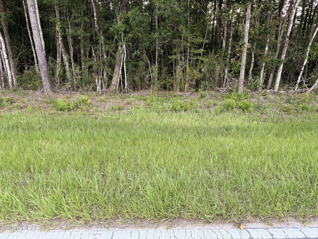 Picture 3