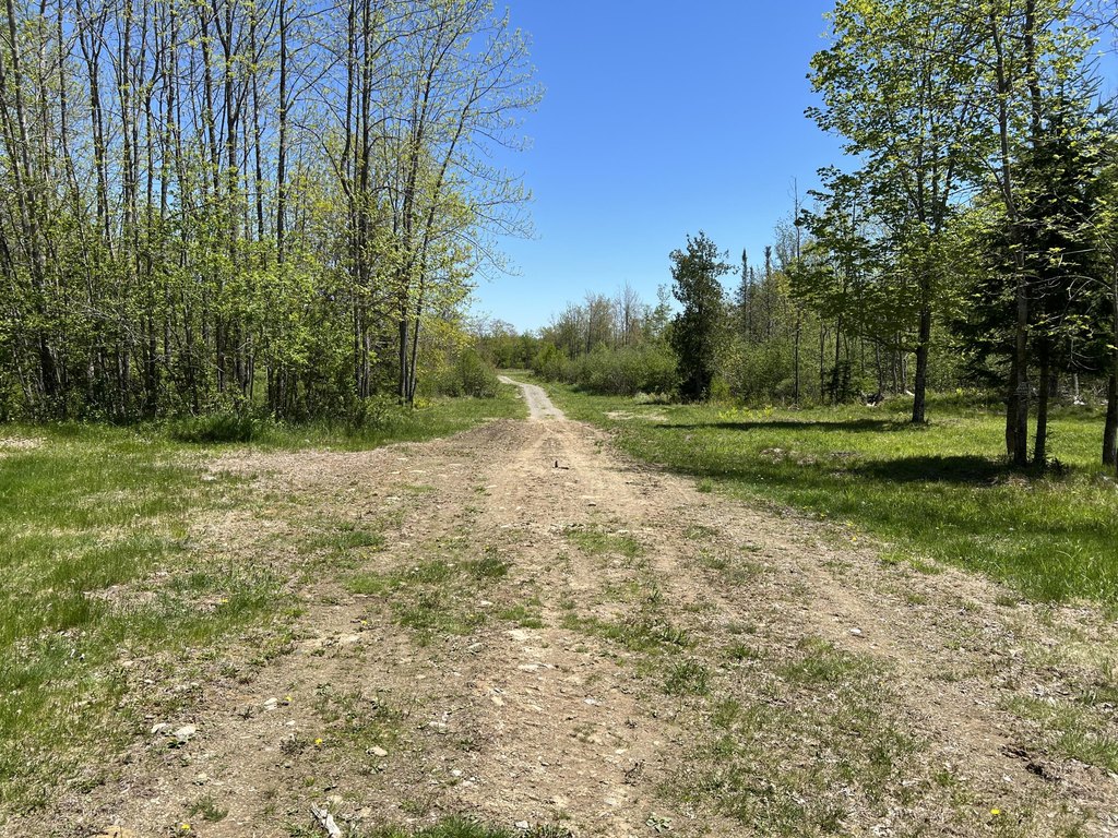 Picture 8