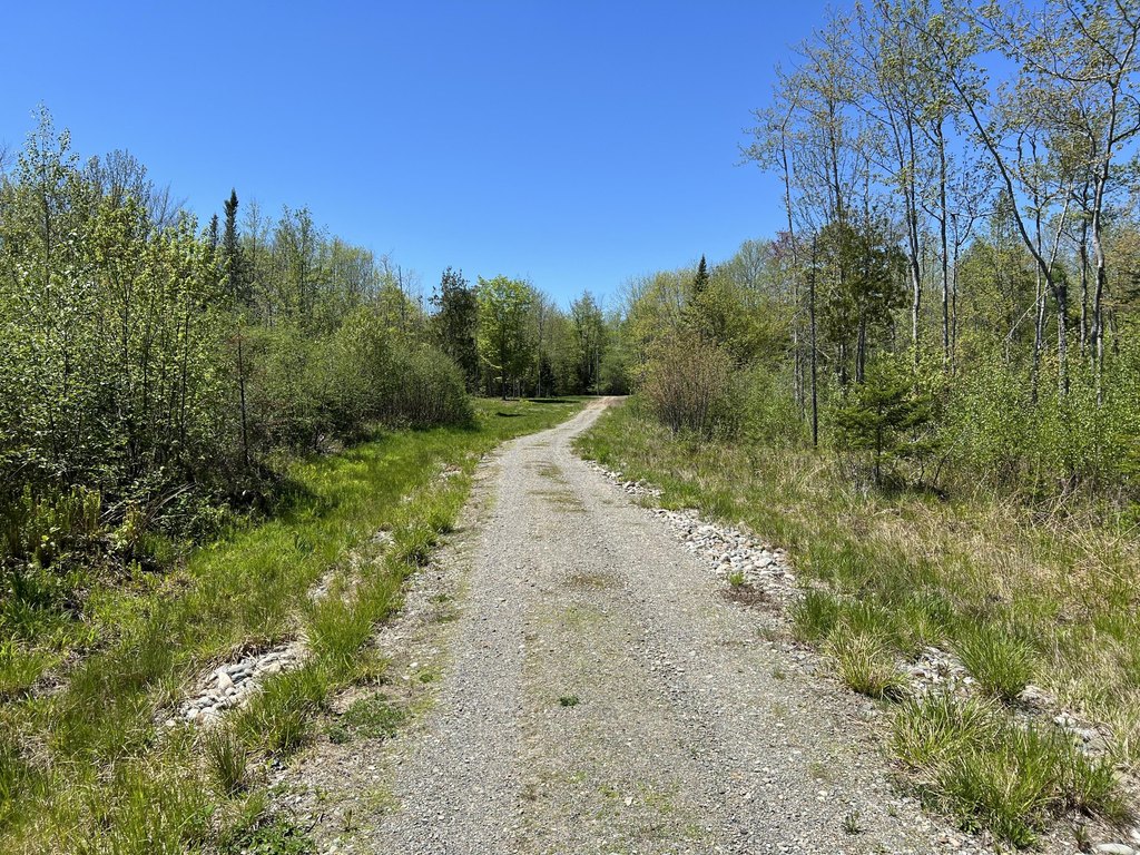 Picture 7