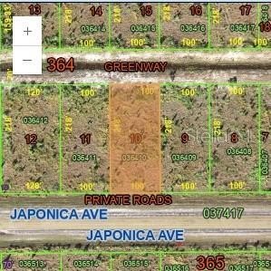 Half Acre Land in Florida