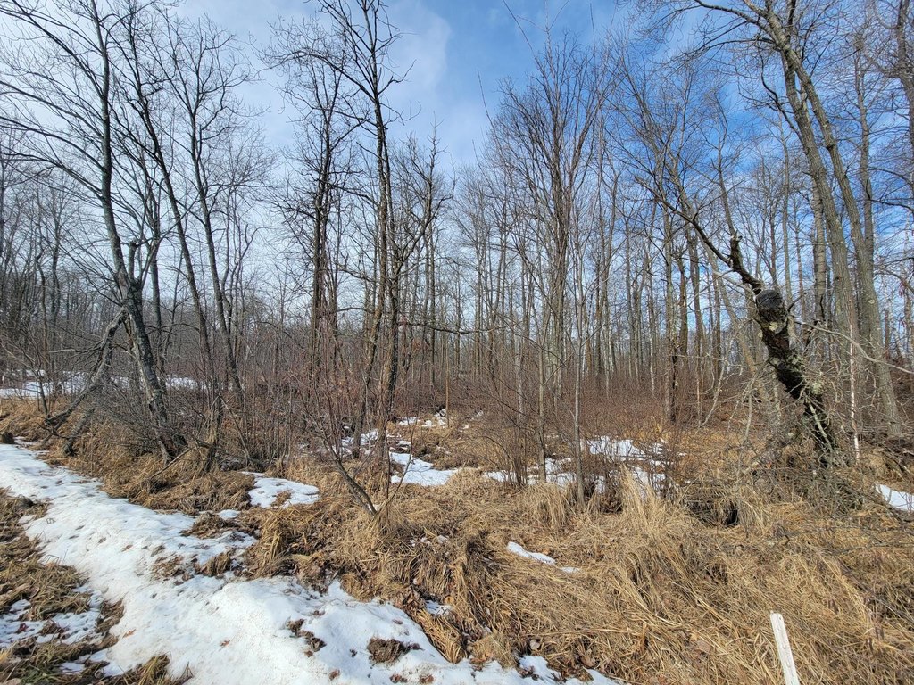 Picture 18