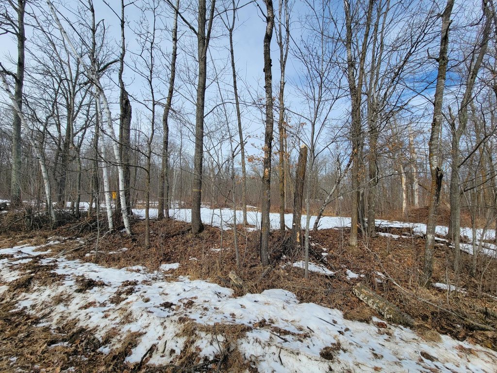 Picture 15