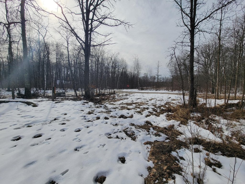 Picture 9