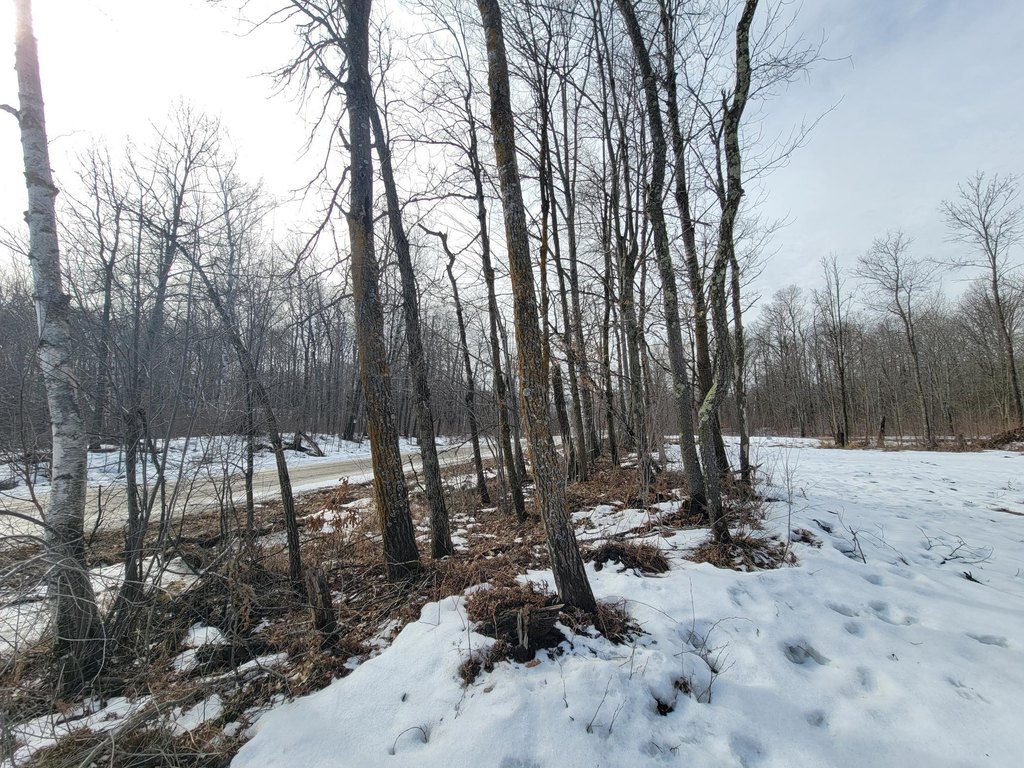 Picture 5