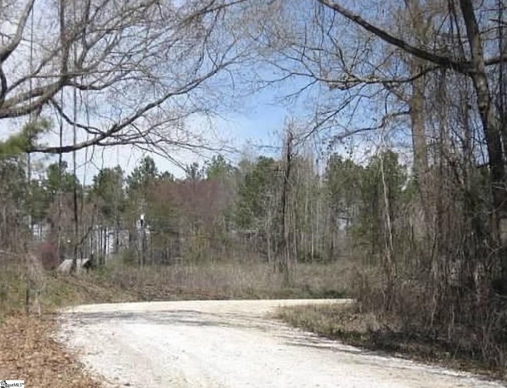 Picture 7