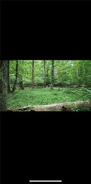 Vacant Land in Lilburn, GA