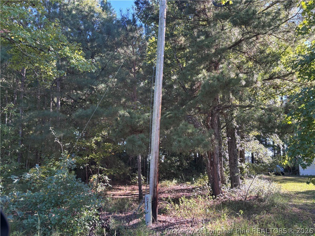 Picture 13